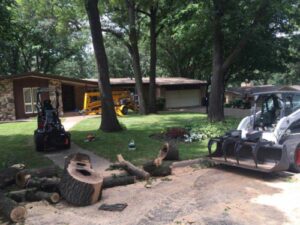 tree maintenance equipment in a residential yard